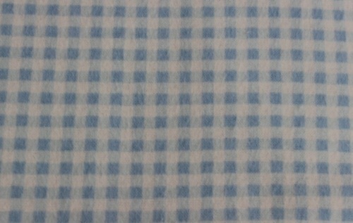 Blue & White Gingham Flannel