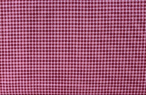 Welcome Home Flannel - Salmon pink gingham