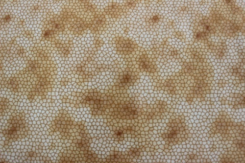 Dino Age Cotton - crackle design on honey background