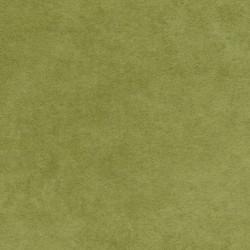 Shadowplay Flannel - Sage green