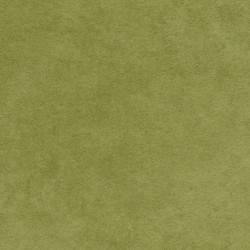 Shadowplay Flannel - Sage green