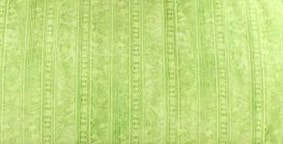 Jubilee Flannel - Bright green tone on tone stripe