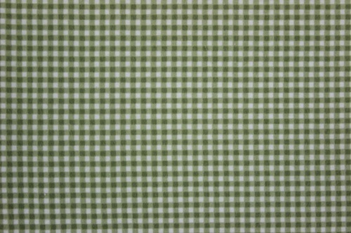 Welcome Home Flannel - Green & white check